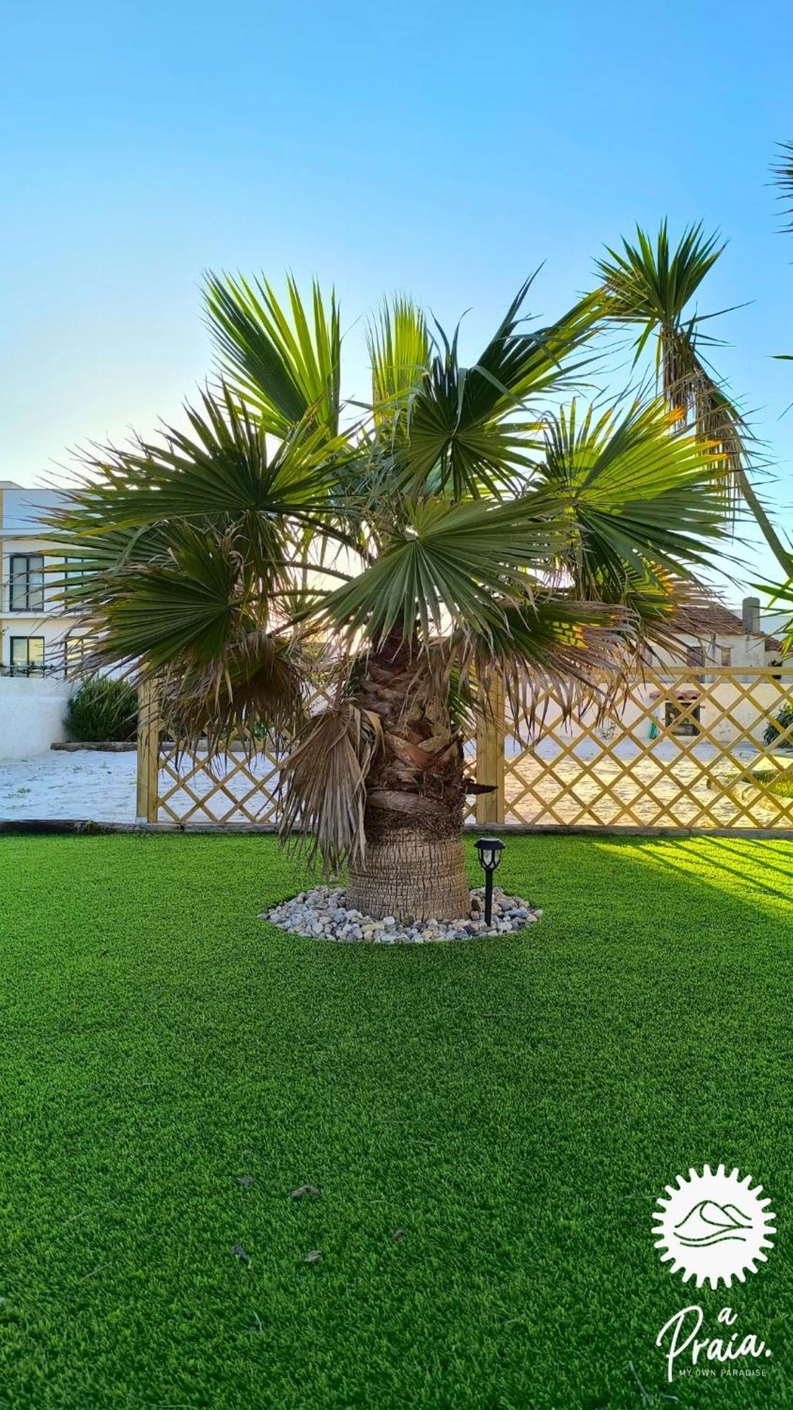 A Praia- My Own Paradise T1 Figueira da Foz Exterior photo